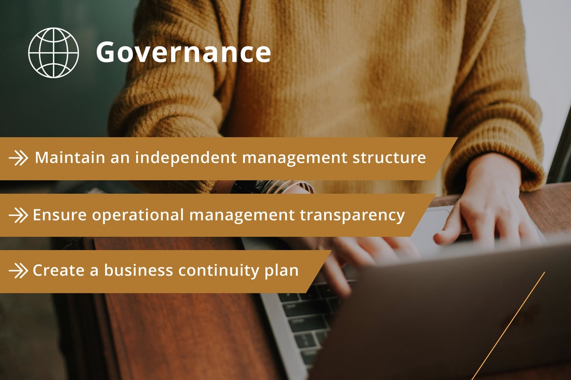 Goverance Strategy